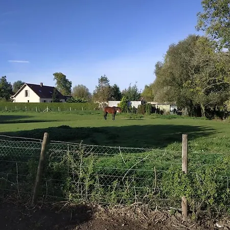 Les Amoureux De La Baie *