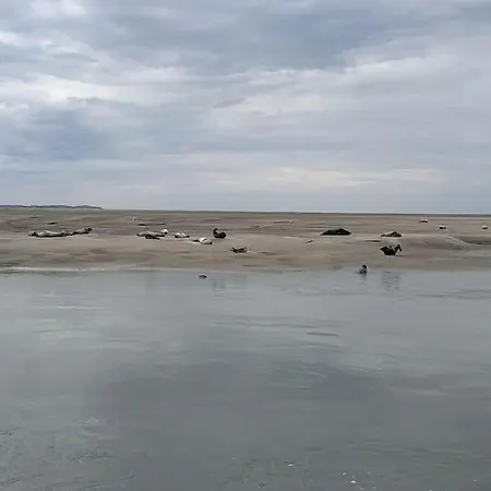 Les Amoureux De La Baie Apartmán *