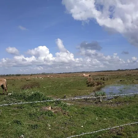 Les Amoureux De La Baie Apartmán Favières