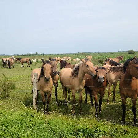 Les Amoureux De La Baie شقة Favières